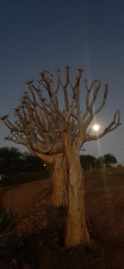 Pureplaas Self Catering Volmoed Oudtshoorn Klein Karoo Apartment Bagian luar foto